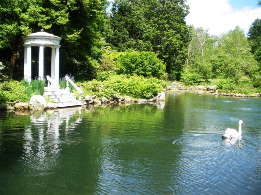 Swan Pond with greek temple and swan swimming